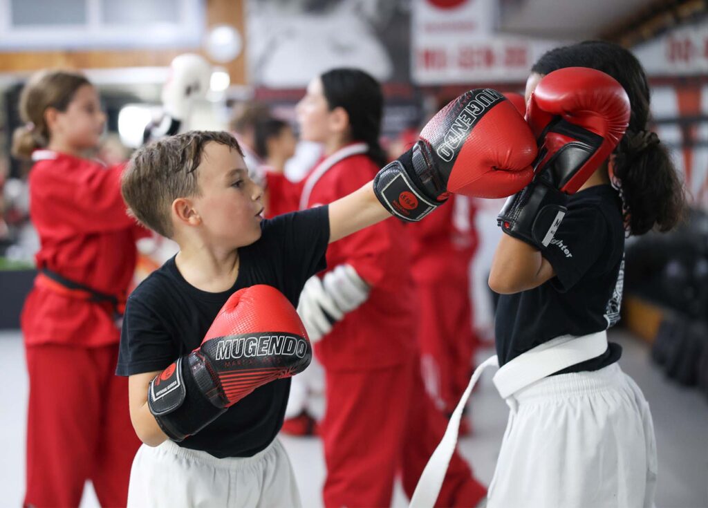 artes marciales viladecans